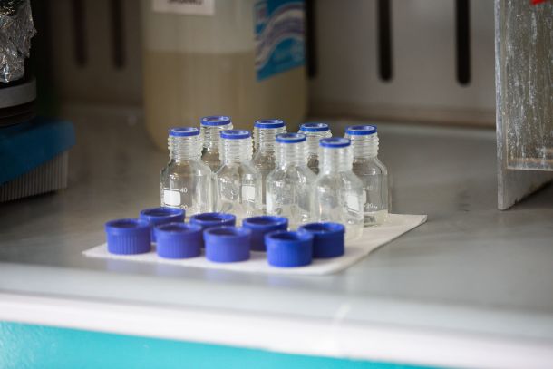 Laboratory sample vials used for PET additive research and testing.